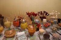 /album/galeria-de-fotos-casamento-de-juliana-nicolas/j-n-1645-jpg1/